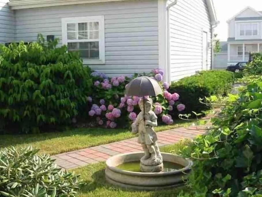 Amazing!!!! Luxury 5br, Steps To And Fun! Fully Renovated House! *